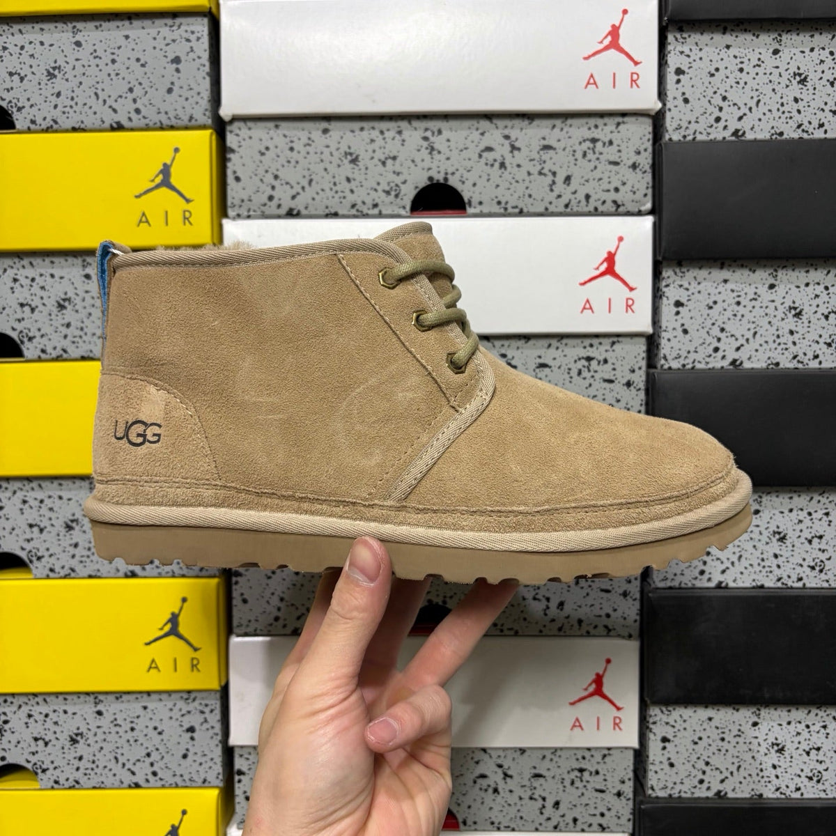 UGG Lace-Up Suede Ankle Boot with Gold Eyelet Hardware, Blue Pull Tab & Chunky Lug Sole in Sand