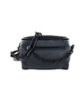 Louis Vuitton Trunk Bag