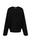 extreme cashmere n°493 Paolo crewneck sweater