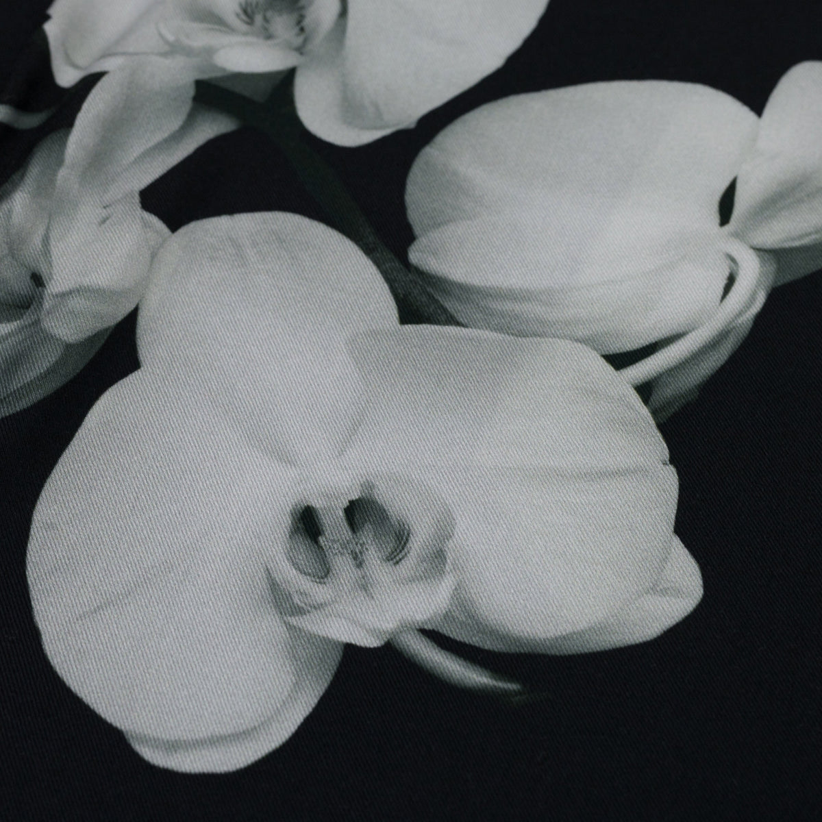 Black Mapplethorpe Woven Shirt